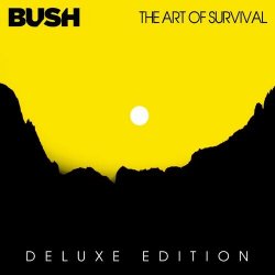 Cover Bush - Heavy Is The Ocean