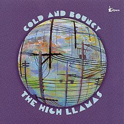 Cover The High Llamas - Literature Is Fluff