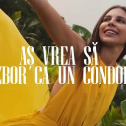 Cover Anda Călugăreanu - Aș vrea să zbor ca un condor (Mentol & Daniel Pavel Remix)