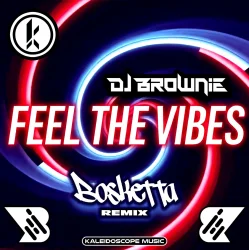 Cover DJ Brownie - Feel The Vibes (Bosketta Remix)