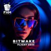 Cover Bitwake - Flight 3033 Bitwake - Flight 3033