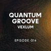 Cover Vexlum - Quantum Groove 014 Vexlum - Quantum Groove 014