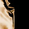 Cover Claptone & Hannah Boleyn - Black & Gold Claptone & Hannah Boleyn - Black & Gold