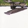 Cover DJ Sakin & Friends - Protect Your Mind (Braveheart) (Vocal Radio Mix) DJ Sakin & Friends - Protect Your Mind (Braveheart) (Vocal Radio Mix)