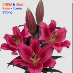 Cover DNDM & Umar Keyn - I Love Strong