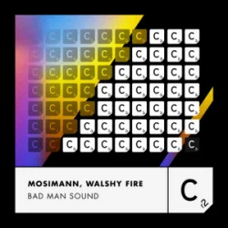 Cover Mosimann & Walshy Fire - Bad Man Sound