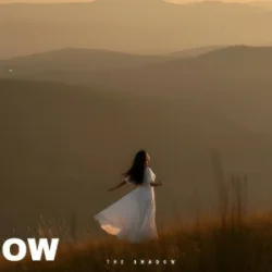 Cover The Shadow - The lesson of love