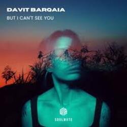 Cover Davit Barqaia - But I Can t See You