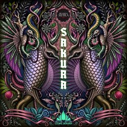 Cover Cosmic Brahma - Refraction