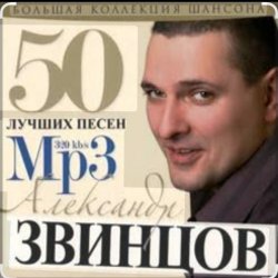 Cover Александр Звинцов - На закате ХХ века