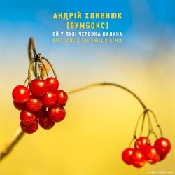 Cover Бумбокс - Ой У Лузі Червона Калина
