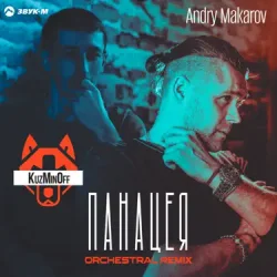 Cover KuzMinOff - Дикая (Andry Makarov Orchestral Remix)