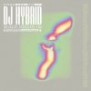 Cover DJ Hybrid - Gone DJ Hybrid - Gone