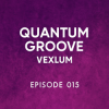 Cover Vexlum - Quantum Groove 015 Vexlum - Quantum Groove 015