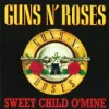 Cover Guns N' Roses - Sweet Child O' Mine (Volture & Luigi Neighbours Hardstyle Remix) Guns N' Roses - Sweet Child O' Mine (Volture & Luigi Neighbours Hardstyle Remix)