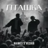 Cover NAIMES & VECHIR - пташка NAIMES & VECHIR - пташка