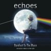 Cover Echoes - Shine on you crazy diamond Echoes - Shine on you crazy diamond