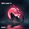 Cover Miyuki - Why Can´t I Miyuki - Why Can´t I