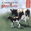 Cover Steve Lukather, Marco Mendoza, Vinnie Colaiuta - Shine On You Crazy Daimond Steve Lukather, Marco Mendoza, Vinnie Colaiuta - Shine On You Crazy Daimond