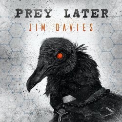 Cover Jim Davies - V Sign