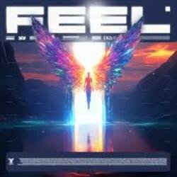 Cover MIRIDON - Feel