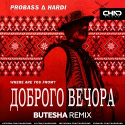 Cover Probass & Hardi - Доброго Вечора (Where Are You From?) (Butesha Radio Edit)