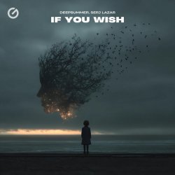 Cover DeepSummer & Serj Lazar - If You Wish