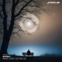 Cover Alkali. - What 2 Say