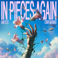 Cover Sam Feldt & Conor Maynard - In Pieces Again