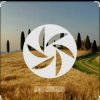 Cover FEWZ - Golden Fields FEWZ - Golden Fields
