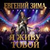Cover Евгений Зима - Гудбай Евгений Зима - Гудбай