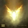 Cover Dave & Tems - Raindance Dave & Tems - Raindance