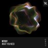 Cover Ritchy - What You Need Ritchy - What You Need
