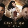 Cover Petra & DJ Project - Gara de mai (Adrian Funk & OLiX Remix) Petra & DJ Project - Gara de mai (Adrian Funk & OLiX Remix)