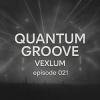 Cover Vexlum - Quantum Groove 021 Vexlum - Quantum Groove 021