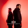 BW & FORTROYALBEATZ - Тень