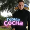 Cover Friends in Kharkiv - Горіла сосна Friends in Kharkiv - Горіла сосна