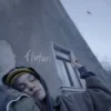 Cover EMAA - Fluturi EMAA - Fluturi