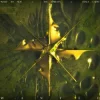 Cover What So Not & The Upbeats - Wanted What So Not & The Upbeats - Wanted