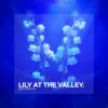 Cover Boris Brejcha - Lily At The Valley Boris Brejcha - Lily At The Valley