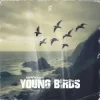 Cover 2 Phaze - Young Birds 2 Phaze - Young Birds