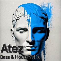 Cover Atez - Bass House Vol5.