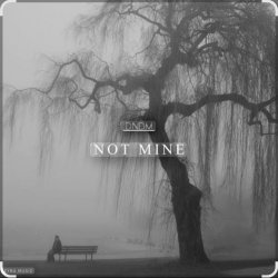 Cover DNDM - Not Mine (Extended)