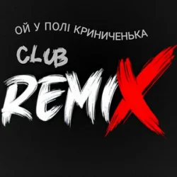 Cover Miha Danilchuk - Ой у полі Криниченька (Club Remix)