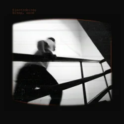 Cover Electrobirds - Вітер, неси