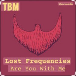 Cover Lost Frequencies - Are You With Me