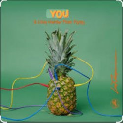 Cover Lost Frequencies feat. Love Harder & Flynn - You