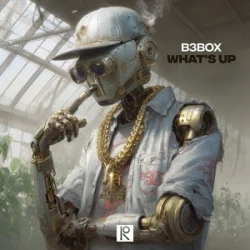 Cover B3BOX - Whats Up