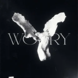 Cover LONOWN & riserayss - worry (ultra slowed)
