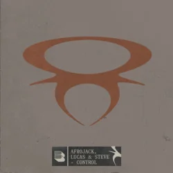 Cover Afrojack & Lucas & Steve - Control
